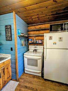 Cozy Cub Log Cabin - Year Round Tranquil Beauty - 5