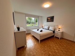 Swiss Suites Oberrohrdorf - 8