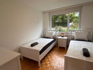 Swiss Suites Oberrohrdorf - 2