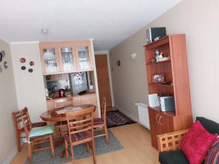 Departamento para 6 Personas Viña Centro Metro Miramar - 0