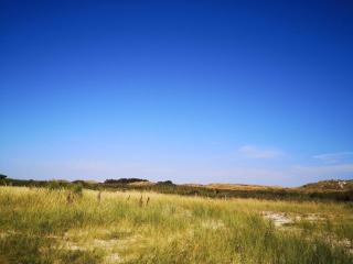 6 person holiday home in Fanø - 1