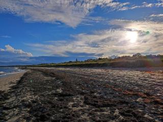 Luxury Beach Retreat - By Traum Ferienwohnungen - 5