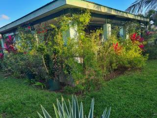 Josh Holiday Home - 1