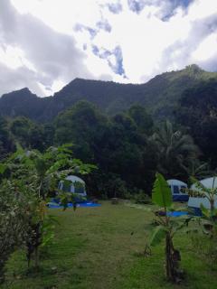 Ravehei smile relais 2 moorea - 5