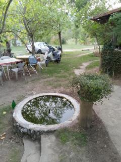 Etno kuca Cane - 6