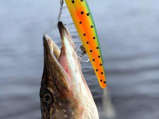 7 person holiday home in KIL - 4