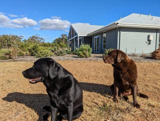 Skibo House - A Family Retreat near Margaret River - 4