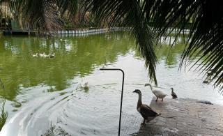 Bao Ong Thien Retreat - Khu Nghỉ Dưỡng Bào Ông Thiền - 9