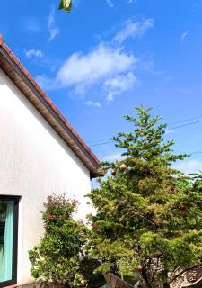 함덕리준하네 - 8