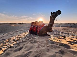 Serendipity Desert Camp - 5