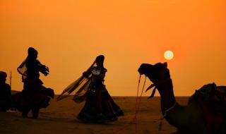 Serendipity Desert Camp By Royal Empire - 1