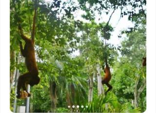 Arriendo habitaciones amobladas con aire acondicionado - 8