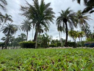 Saenpalm training home แสนปาล์ม เทรนนิ่ง โฮม - 5