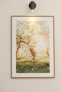 MYAN Villa Phòng nghỉ 5 có sân sau Vinhomes Ocean Park 3 - 5