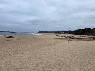 Apartamento en isla de neruda - 1