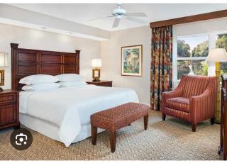Sheraton Vistana resort - 3