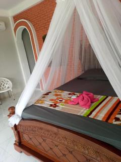 Tiga dara guest house jungle trekking - 1