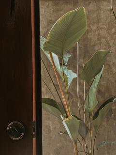 D'Santai Villas - 4