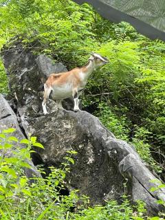 Cat Ba Love House - 2