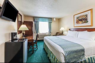 Super 8 by Wyndham Irving DFW Airport/South - Irving - 8