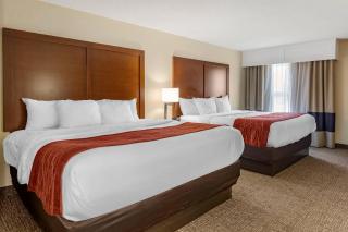 Comfort Inn & Suites Little Rock Airport - 4