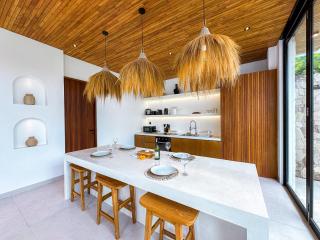 Casa Petak 2 - Serene Architectural Villa in Tropical Paradise Pererenan - 6