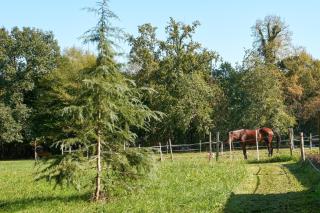 L'Envol - Oasis Ressource - 1