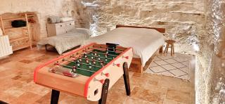 Troglo la Roche Tourangelle et vélos - 1