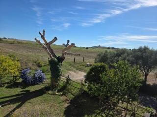 Il casale di Sere Tarquinia - 7