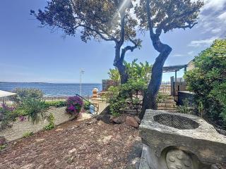 32m2 petite maison au bord de l'eau avec terrasse - 6