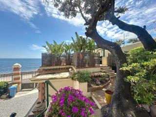 32m2 petite maison au bord de l'eau avec terrasse - 5