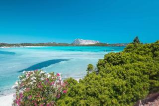 Dreams & Comfort San Teodoro - 0