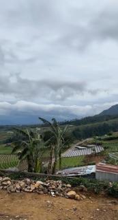 Harmadha Glamping - 1