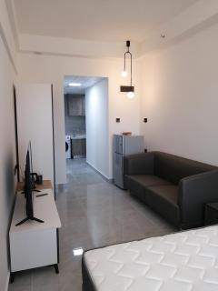 Shenzhen Universiade Center Wisdom Forest Hotel - 7