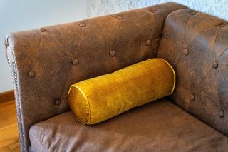 Premium Dog Suite - 6