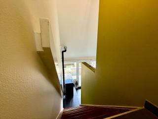 Au bord des hêtres - 4