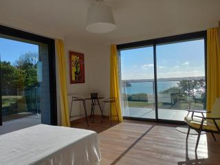 Stunning sea views, sea 100 m away, very large garden - 5