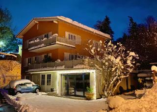 Apartment with magnificent views of Lake Constance - 1