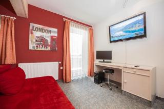 Appartement Gimpl - Entspannen, Wohlfühlen, Genießen - 9
