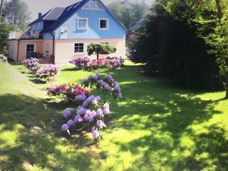 Pension Schmidt - 0