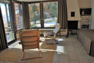 Arnica 2 La Punt - 3