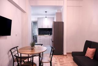Silk Apartment 1 Athens Center next to Metro station - 9