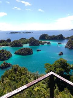 Rosye homestay raja ampat - 3