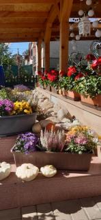 Ubytovanie v súkromí - 6