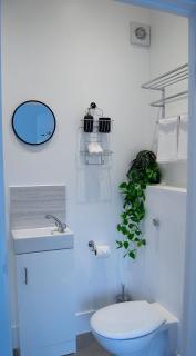 Modern 5 bedroom all en-suite south London - 3