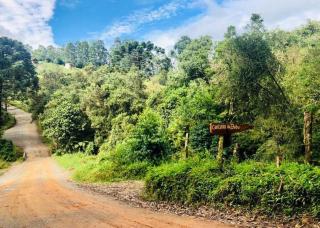 Cantinho da Bubu - 7