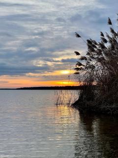 Zuhause am See - Eleganz im Altbau - Bitterfeld - 5