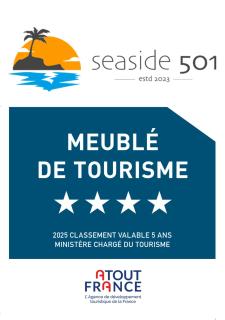 Seaside501 - Antibes - 8