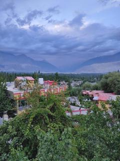 Jasminskardu - 6