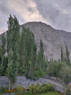 Jasminskardu - 7